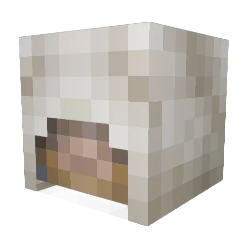 Pigeon376 Minecraft avatar head, 3D render