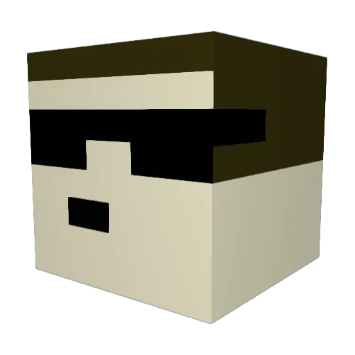 PigeonBrah Minecraft avatar head, 3D render