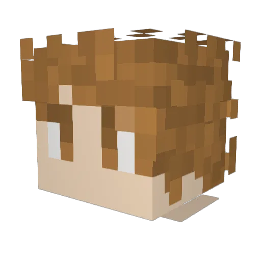 PigeonHam Minecraft avatar head, 3D render