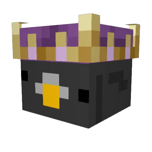 PigeonKing5 Minecraft avatar head, 3D render