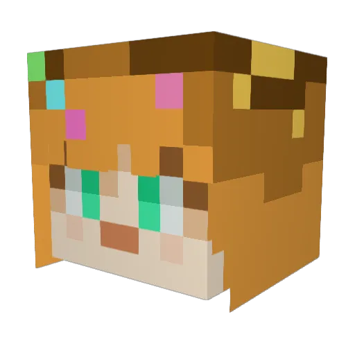 PigeonPigeonn Minecraft avatar head, 3D render