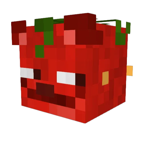 PigeonSquirrel Minecraft avatar head, 3D render