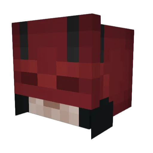 PigeonVI Minecraft avatar head, 3D render