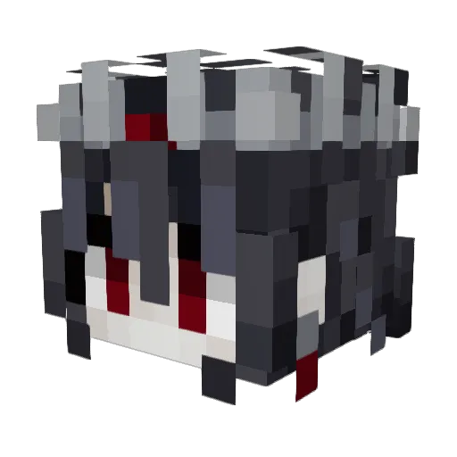 PigeonWithPlans Minecraft avatar head, 3D render