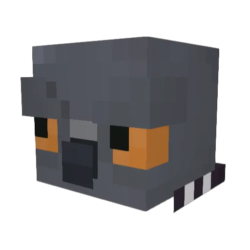 PigeonZP Minecraft avatar head, 3D render