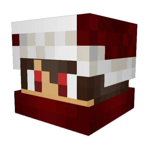 Pigeon_Nuggets Minecraft avatar head, 3D render