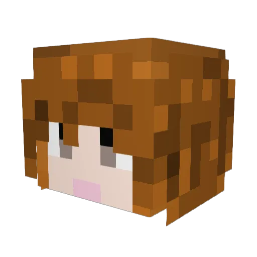 Pigeon_yin Minecraft avatar head, 3D render