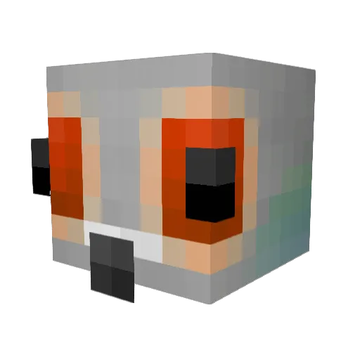 Pigeonbo1 Minecraft avatar head, 3D render