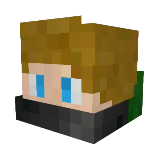 Pigfiregamer Minecraft avatar head, 3D render