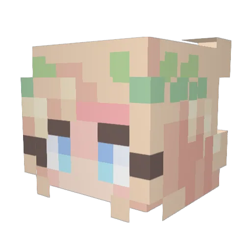 Pigfist Minecraft avatar head, 3D render