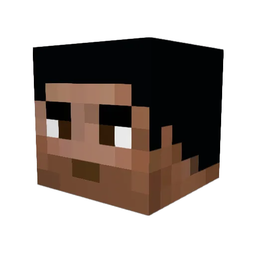 PiggaBoy2424 Minecraft avatar head, 3D render