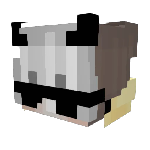 PiggiePotter Minecraft avatar head, 3D render