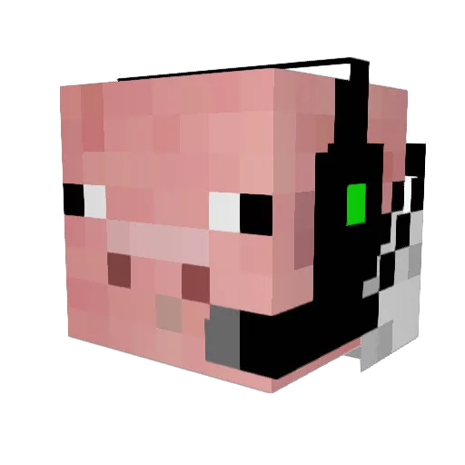 Piggiefreak Minecraft avatar head, 3D render