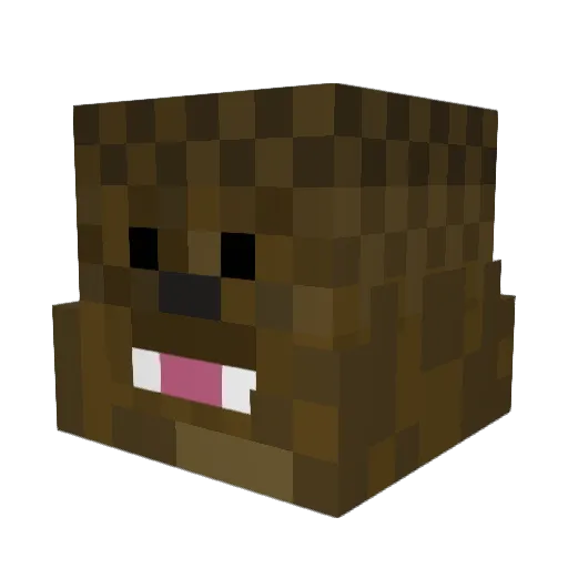 Piggy790 Minecraft avatar head, 3D render