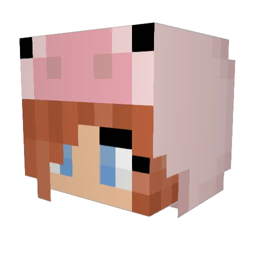 PiggyWiggi Minecraft avatar head, 3D render