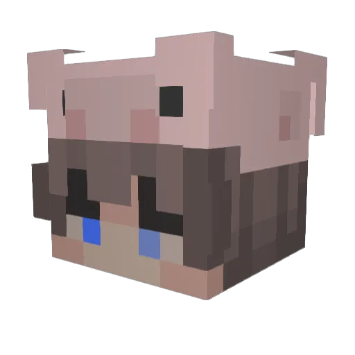 Piggyxd Minecraft avatar head, 3D render