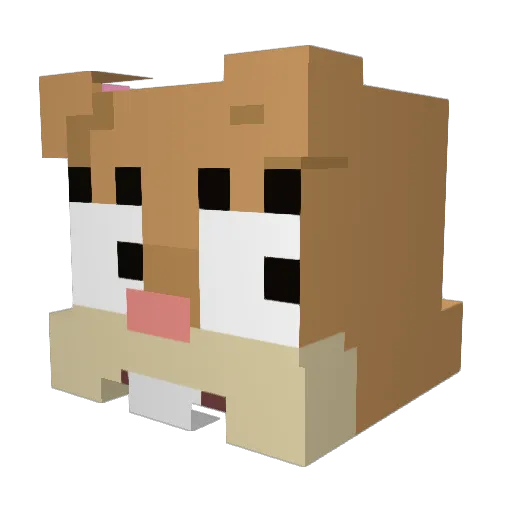 PigiPL Minecraft avatar head, 3D render
