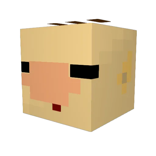 Piginabag Minecraft avatar head, 3D render