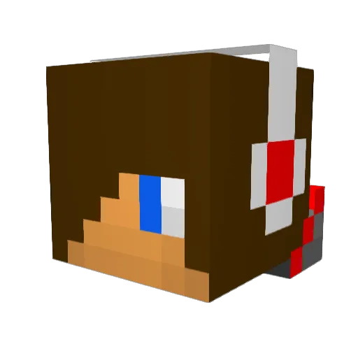 Pigington1234 Minecraft avatar head, 3D render