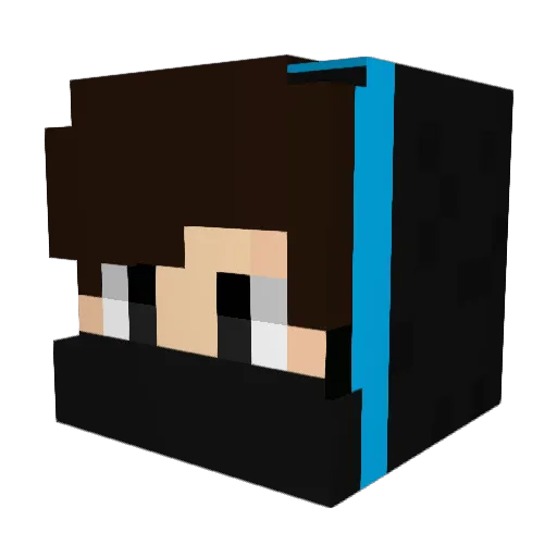 Pigiox Minecraft avatar head, 3D render