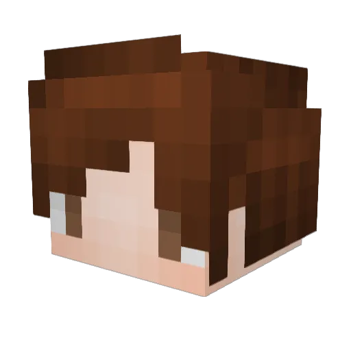 Pigle_Yeah Minecraft avatar head, 3D render
