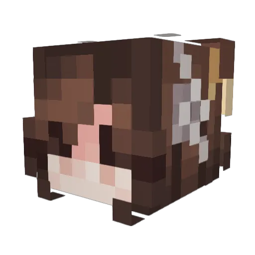 Pigleet Minecraft avatar head, 3D render