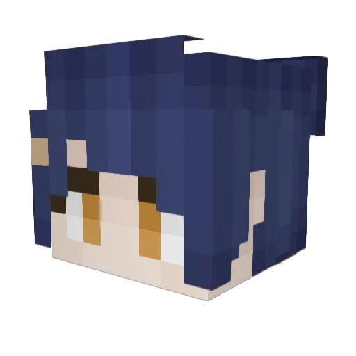 PiglyRain Minecraft avatar head, 3D render