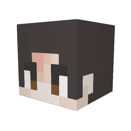 Pigooni Minecraft avatar head, 3D render