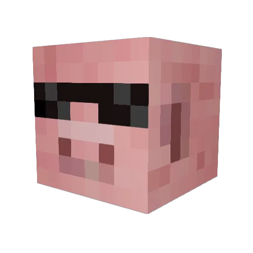 Pigpen2910 Minecraft avatar head, 3D render