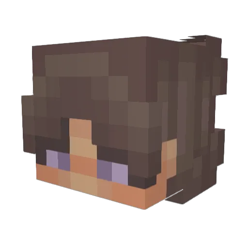 Pigphobic Minecraft avatar head, 3D render