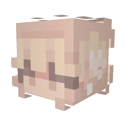 Pigprincesslila Minecraft avatar head, 3D render