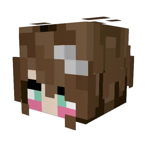 Pigpunch3000 Minecraft avatar head, 3D render