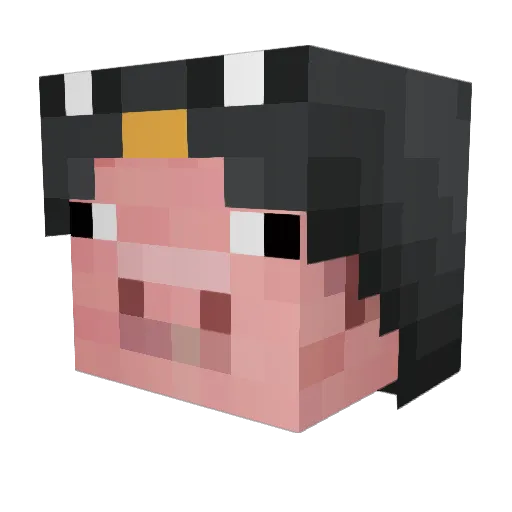PigsButt Minecraft avatar head, 3D render