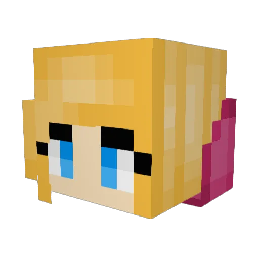 PigsFlight101 Minecraft avatar head, 3D render