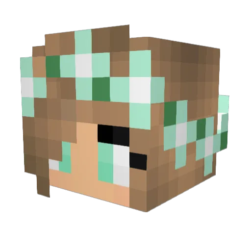 PigsGo_Oink Minecraft avatar head, 3D render