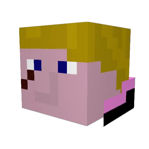 Pigsinblankets Minecraft avatar head, 3D render