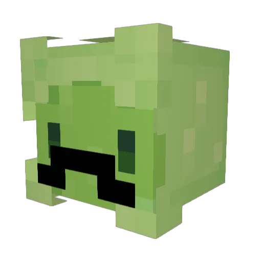 PigwarsWasTaken Minecraft avatar head, 3D render