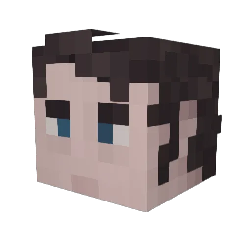Pigz_Might_Fly Minecraft avatar head, 3D render