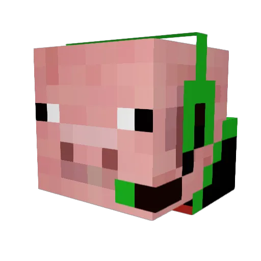 Pigzilla69 Minecraft avatar head, 3D render
