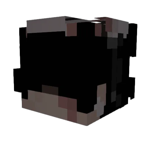 Pii___PE Minecraft avatar head, 3D render