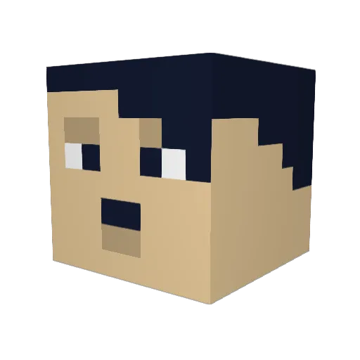 Piibu Minecraft avatar head, 3D render