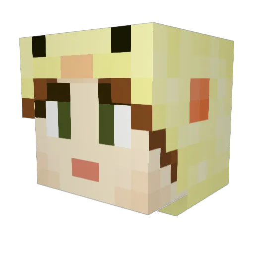 Piigibrd Minecraft avatar head, 3D render
