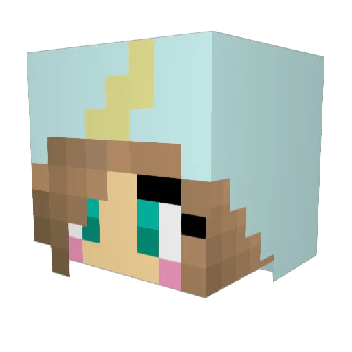 Piimpinator Minecraft avatar head, 3D render