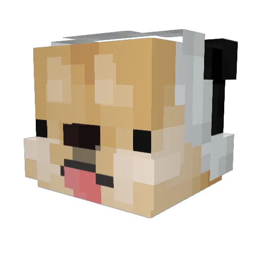 Piipee_ Minecraft avatar head, 3D render