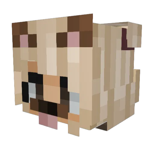 Piixey Minecraft avatar head, 3D render
