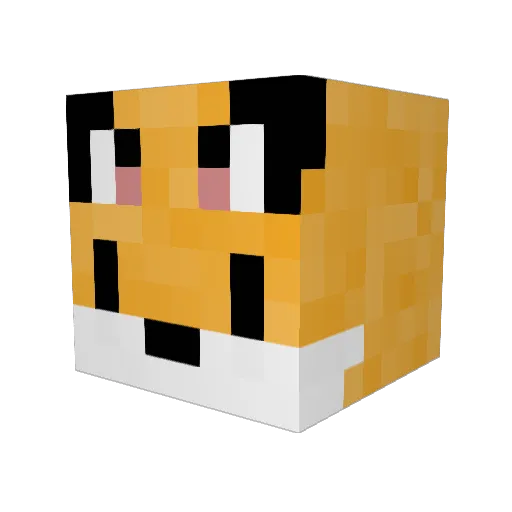 Pijsje Minecraft avatar head, 3D render