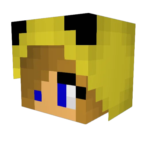 PikaBryce1844 Minecraft avatar head, 3D render