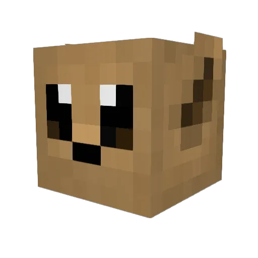 PikaJW Minecraft avatar head, 3D render