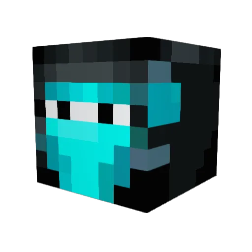PikaNinja15 Minecraft avatar head, 3D render