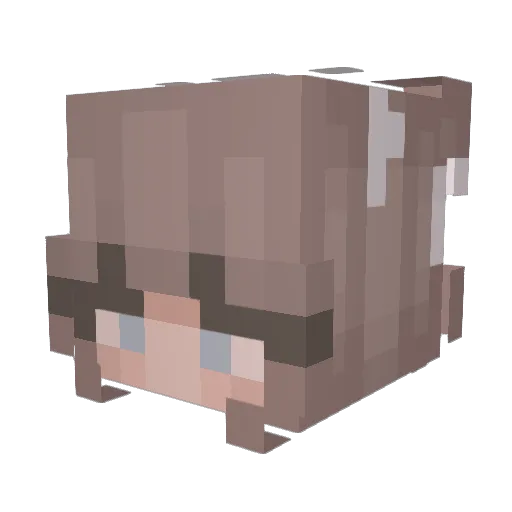 PikachuLolbit Minecraft avatar head, 3D render